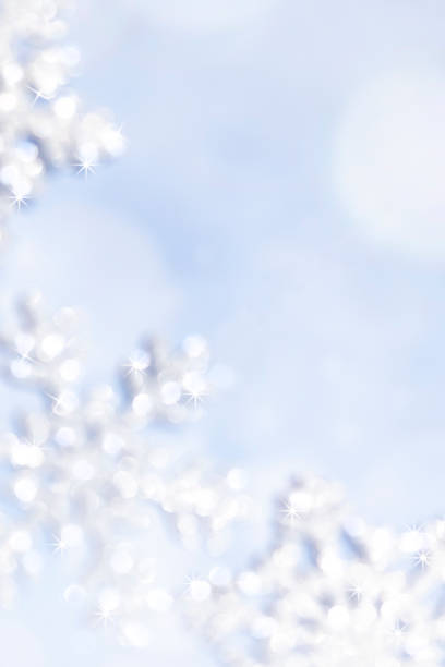 istock Winter snow bouquet and copy space 1349155979