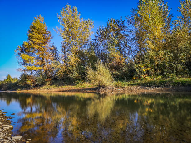 istock Evening autumn landscape on a mountain river 1349155993