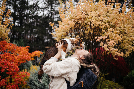 Young woman hugging puppy Nederlandse Kooikerhondje in a colorful autumn day