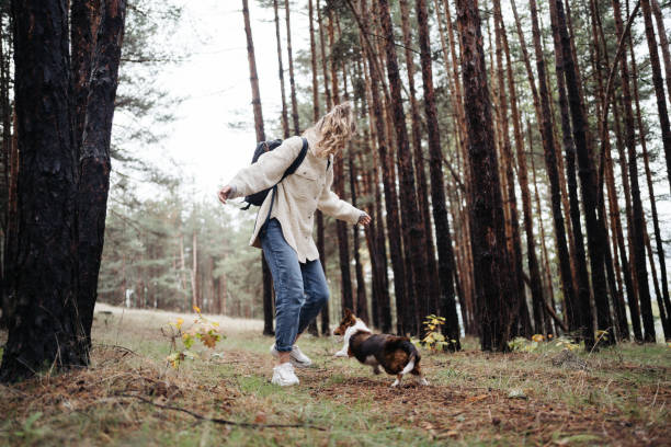 istock Playing with a puppy in the nature 1349164022