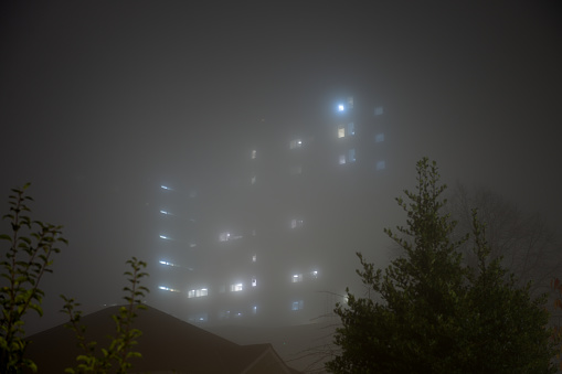 Eerie sky scraper hospital lights shine through very thick fog, with trees in the foreground. Only blue and white light through the windows is visible