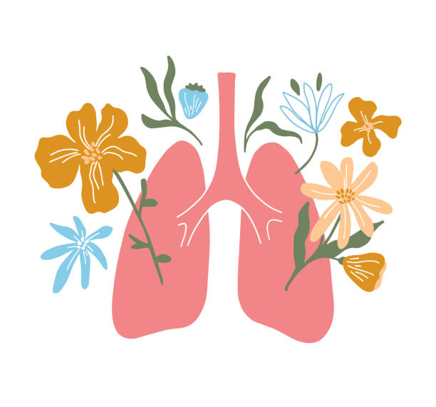 Isolated vector illustration of human lungs with blossom flowers on white background Isolated vector illustration of lungs with blossom flowers. Human lung, bronchi. Healthy breathe concept. Health of respiratory system. Healthcare or asthma treatment, disease prevention. Art poster Oxygen stock illustrations