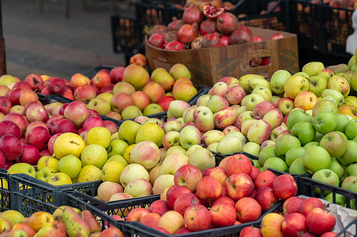 Various varieties of apples on the market. Natural quality fruits for sale