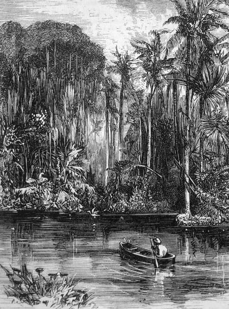 Antique illustration - Harper's Magazine - man in canoe in White Sulphur Springs Florida vector art illustration