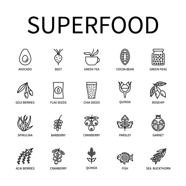 Superfood Line Icon In A Simple Style. Avocado Green Tea Pomegranate Chia Fish Beetroot Cocoa Quinoa Parsley Barberry Cranberry Rosehip Are Presented. A set of vector icons Superfood Line Icon In A Simple Style. Avocado Green Tea Pomegranate Chia Fish Beetroot Cocoa Quinoa Parsley Barberry Cranberry Rosehip Are Presented. A set of vector icons. naming organic compounds stock illustrations