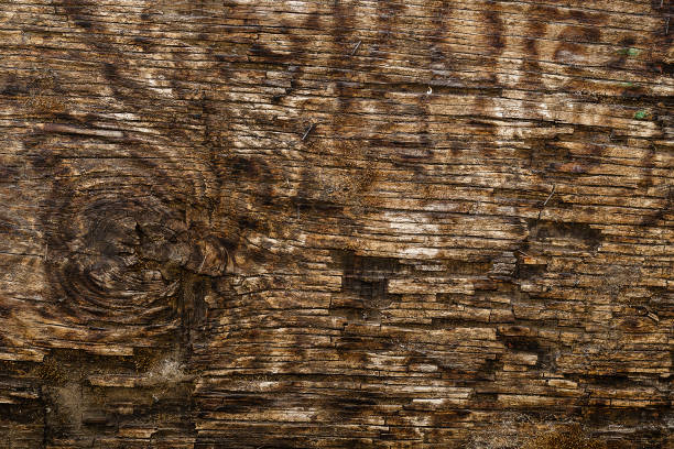 istock An old rotting board with a knot. Natural background. 1349178477