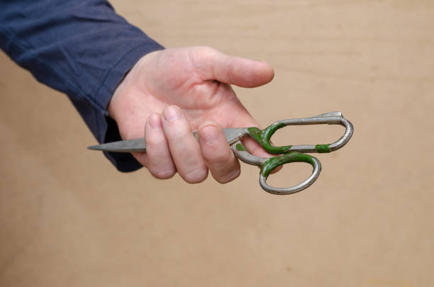 istock Old scissors. Hand holds large sewing scissors. Skills, crafts. 1349178504