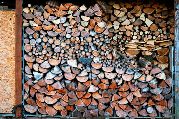 Pile of cut and stacked tree strains, colorful and nice textured.