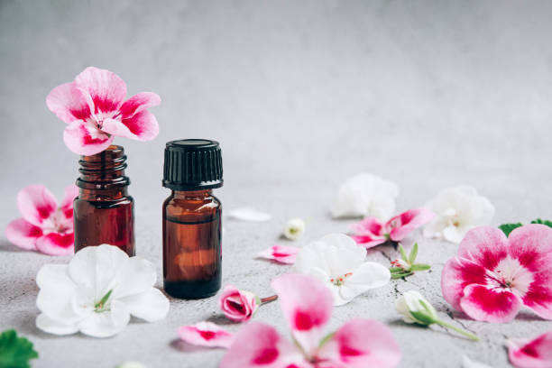 front view of glass bottles of geranium essential oil with fresh pink and white flowers and petals over gray - geranium imagens e fotografias de stock