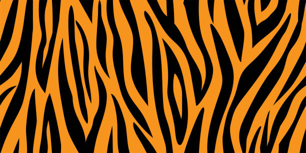 호랑이 줄무늬와 매끄러운 패턴. - bengal tiger stock illustrations