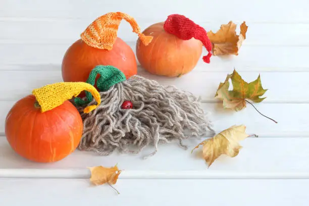 three orange pumpkins in colored caps on a table with a gnome and fallen leaves