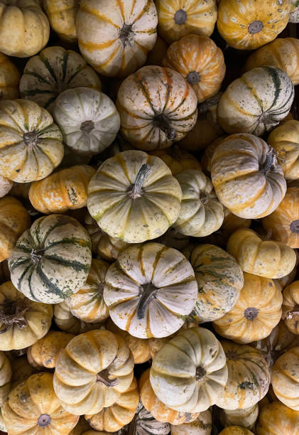 Fun Pumpkins
