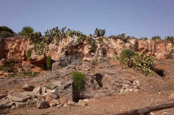 istock View of typical sicilian vegetation 1349194824