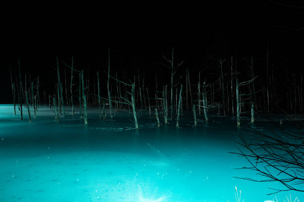 istock Illuminated snow-covered lake at night in Biei 1349195085