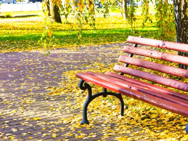 istock Standing alone bench in the autumn park. 1349195128