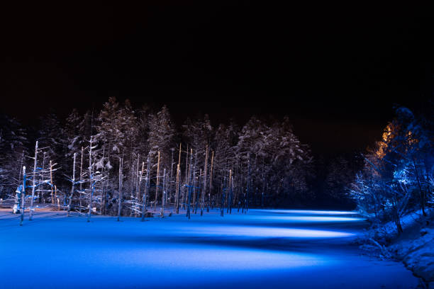 istock Illuminated fantastic winter blue pond in Biei 1349195498
