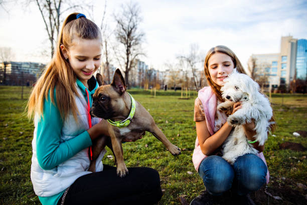 Sisters playing with their dogs at the park