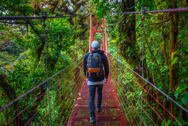 Tourist walking on a suspension bridge in Monteverde Cloud Forest, Costa Rica Tourist walking on a hanging suspension bridge in the jungle of Monteverde Cloud Forest, Costa Rica nature reserve photos stock pictures, royalty-free photos & images