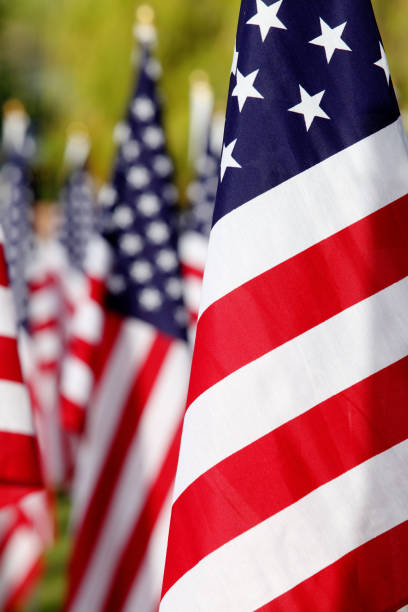 istock A field of American flags 1349203579