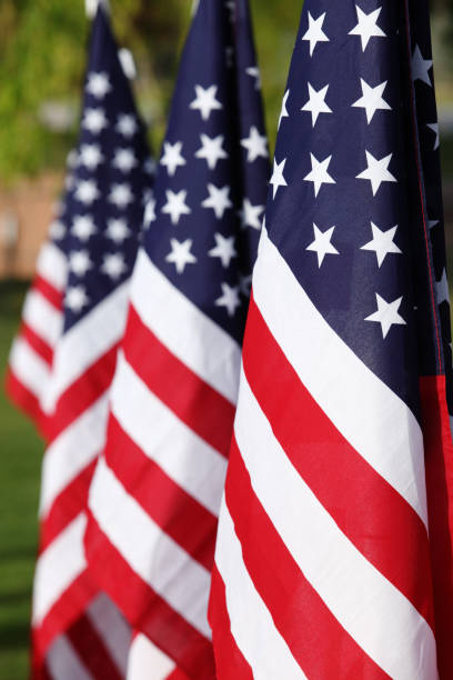 istock A field of American flags 1349203600