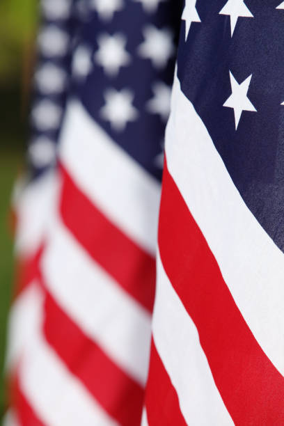 istock A field of American flags 1349203601