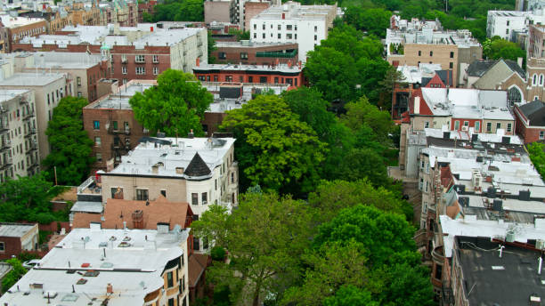 istock Treelined Street in Crown Heights, Brooklyn 1349204720