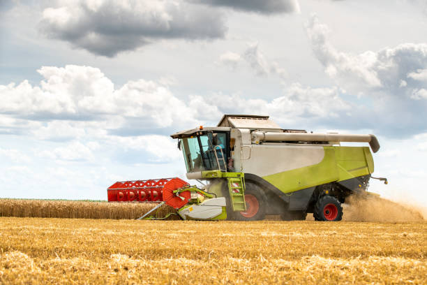istock Combine harvester in action on wheat field. 1349205415