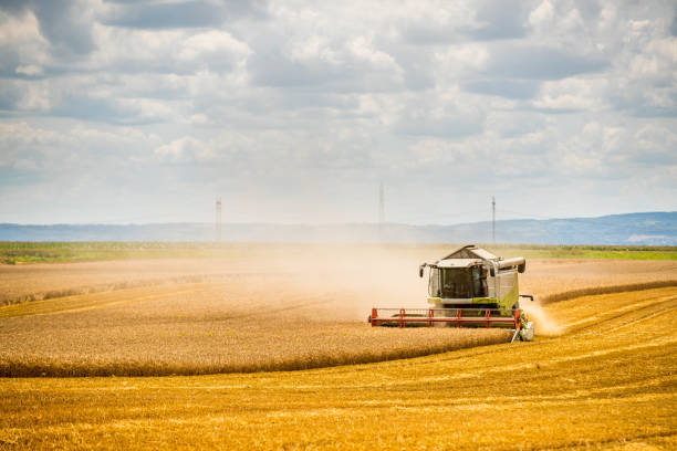 istock Combine harvester in action on wheat field. 1349205488