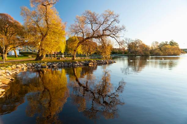 istock Autumn colors in the morning light 1349207125