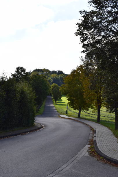 istock rural avenue in early autumn 1349208291