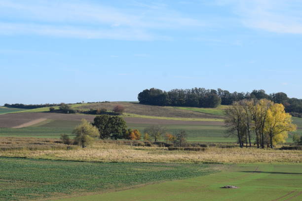 istock green fields around the swampland in autumn 1349208940