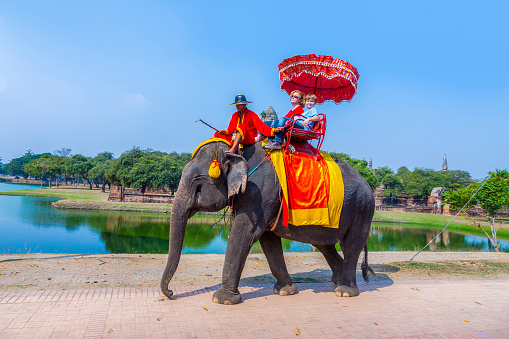 Ayutthaya, Thailand - December 24, 2009:  tourists ride on an elephant in the Historical Park in Ayutthaya, Thailand. It is called a must in Ayutthaya and costs about 1000 BATH for 30 min.