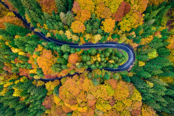 カラフルな秋の森を通るアスファルトの道、空中ショット - car winding road highway autumn ストックフォトと画像