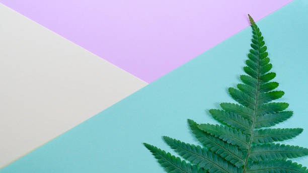 istock Abstract background with Green plant fern 1349212280