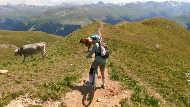 Woman mountain bikes along sunny mountain ridge She follows trail along mountain ridge, in the European Alps top view on people walking and cyclists riding stock pictures, royalty-free photos & images