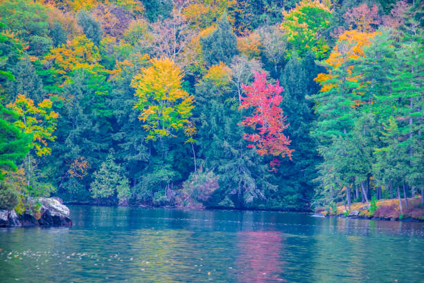 istock Autumn colors on lake shore 1349213808