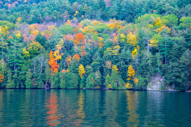istock Autumn colors on lake shore 1349213809
