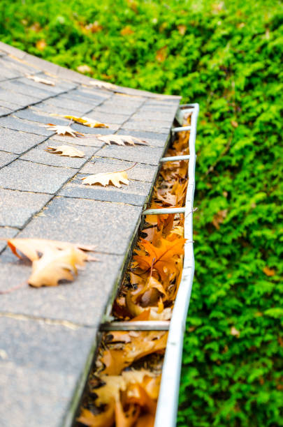 istock Gutter full of autumn leaves 1349214187