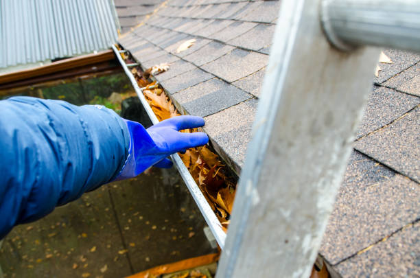 istock Hand with glove removing autumn leaves from gutter 1349214361