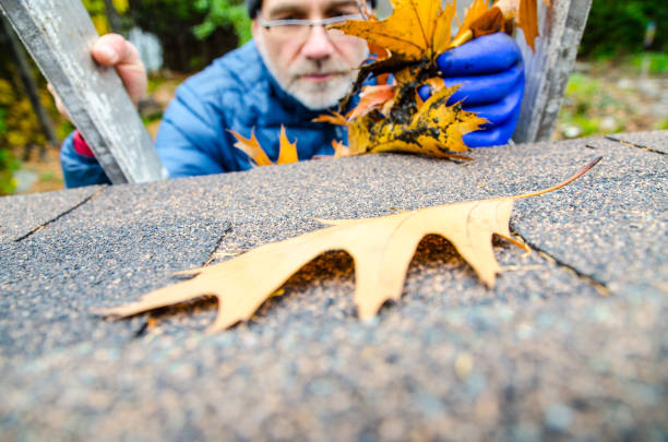 Man in ladder removing autumn leaves from gutter during day of autumn