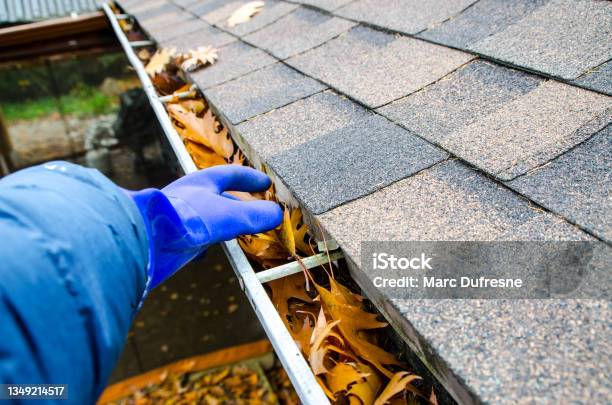 Hand With Glove Removing Autumn Leaves From Gutter Stock Photo - Download Image Now - Roof Gutter, Cleaning, Rooftop