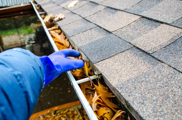 hand with glove removing autumn leaves from gutter - eavestrough imagens e fotografias de stock