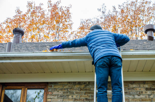 Man in ladder removing autumn leaves from gutter stock photo