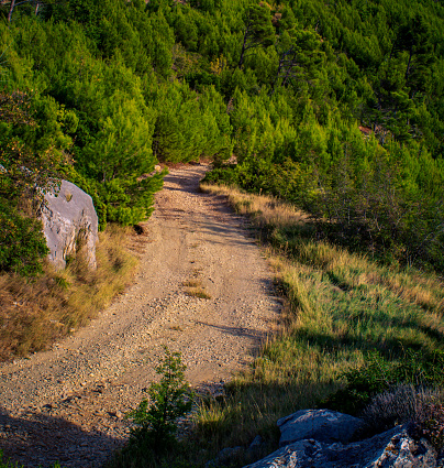 Road in the mountains