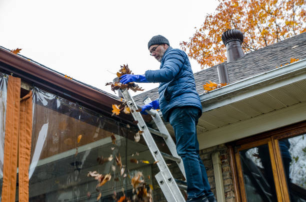 Man in ladder removing autumn leaves from gutter stock photo