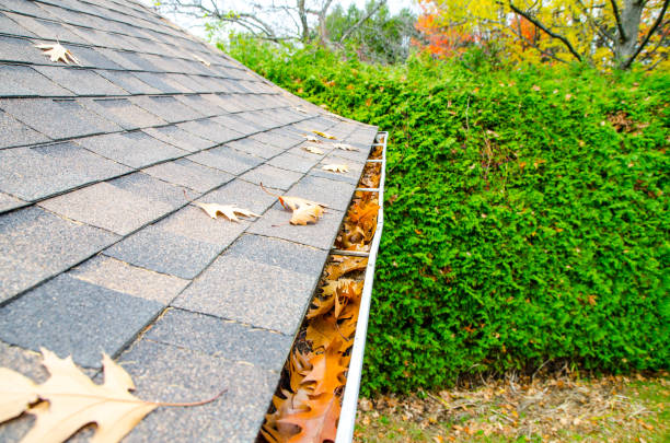 istock Gutter full of autumn leaves 1349214656