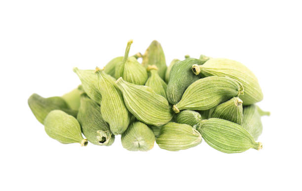 cardamom pods isolated on white background. green cardamon seeds. clipping path. - cardamom spice indian culture isolated imagens e fotografias de stock