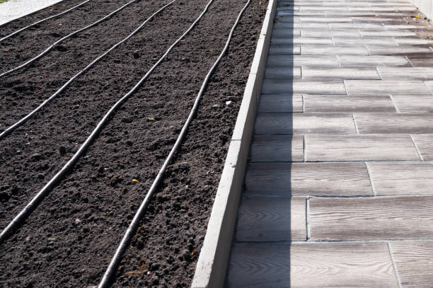 istock Drip irrigation system in planting bed. Empty bed with drip irrigation system. Agriculture concept 1349217073