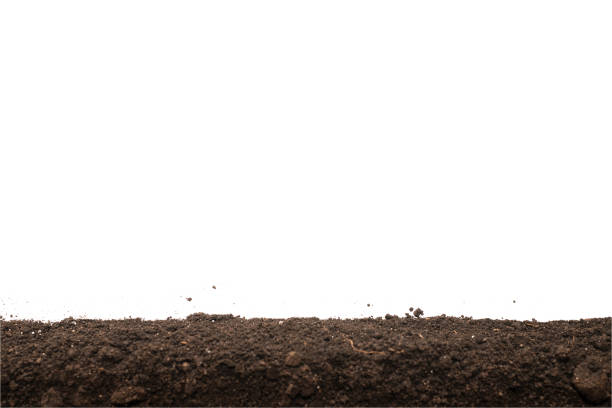 Black land for plant isolated on white background. Frame. Copy space.