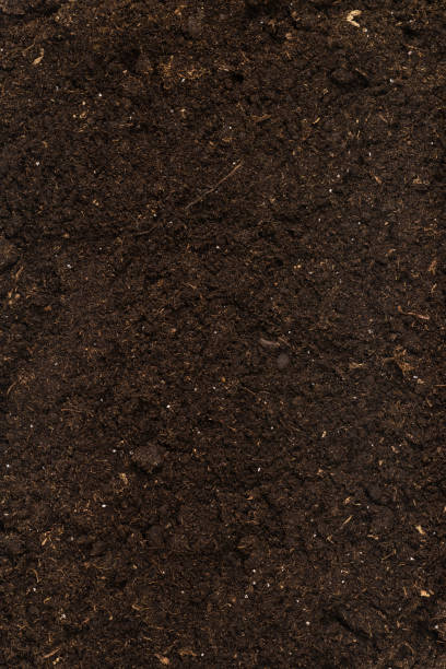 istock Soil for plant isolated on white background. 1349221031